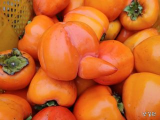 안길원님의 자유주제 · 자유게시판 작성글 사진