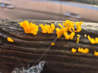 달리는캬뱌레님의 자유주제 · 자유게시판 작성글 사진