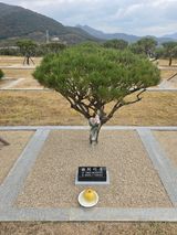 팜모닝 자유주제·자유게시판 게시글 이미지