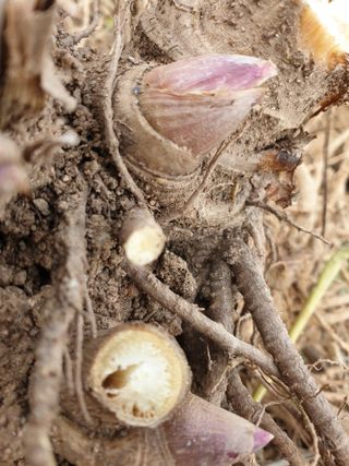 오아성님의 작성글 사진