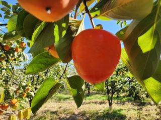 김육환님의 작성글 사진