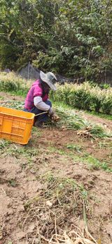 팜모닝 자유주제·자유게시판 게시글 이미지