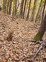 팜모닝 자유주제·자유게시판 게시글 이미지