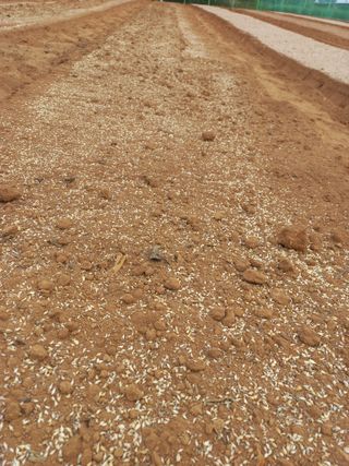 박린님의 자유주제 · 자유게시판 작성글 사진