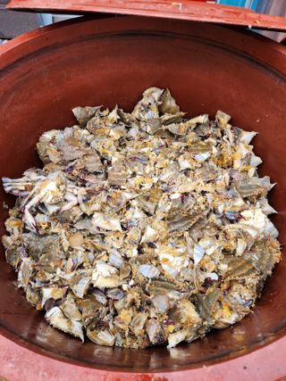 임용관님의 자유주제 · 자유게시판 작성글 사진