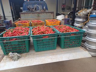 홍순오님의 자유주제 · 자유게시판 작성글 사진