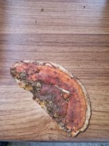 팜모닝 자유주제·자유게시판 게시글 이미지