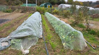 정인재님의 자유주제 · 자유게시판 작성글 사진