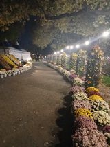 팜모닝 자유주제·자유게시판 게시글 이미지