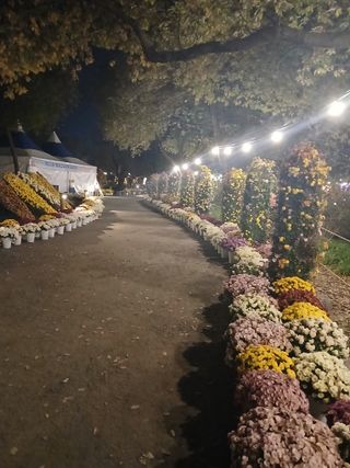 윤석돈님의 자유주제 · 자유게시판 작성글 사진