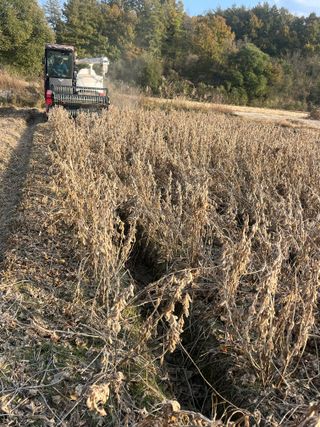 김재우님의 작성글 사진