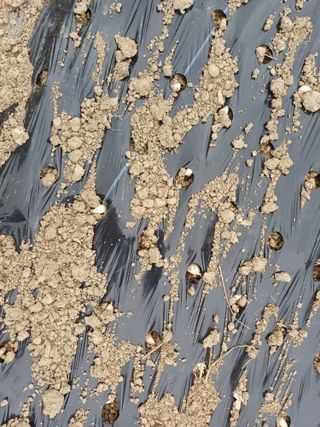 채기섭님의 작성글 사진