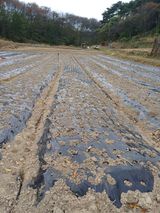 팜모닝 · 게시글 이미지