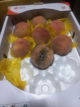 유용진님의 자유주제 · 자유게시판 작성글 사진