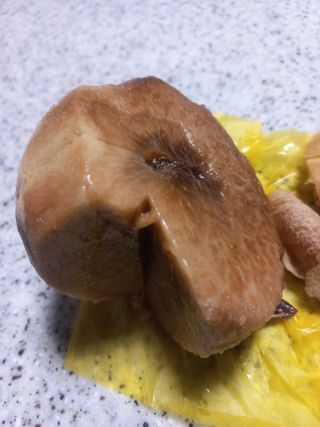 유용진님의 자유주제 · 자유게시판 작성글 사진