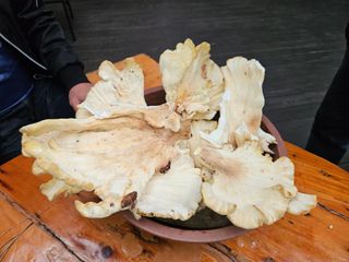 양주박씨농장님의 자유주제 · 자유게시판 작성글 사진