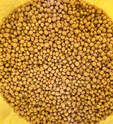 팜모닝 · 게시글 이미지