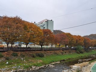 MSG0074님의 자유주제 · 자유게시판 작성글 사진