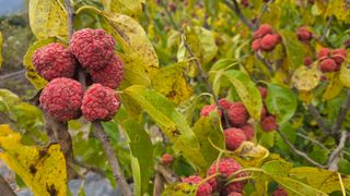 _고성농장님의 자유주제 · 자유게시판 작성글 사진