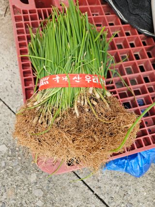 이재관(황토속애)님의 작성글 사진