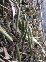 팜모닝 자유주제·자유게시판 게시글 이미지