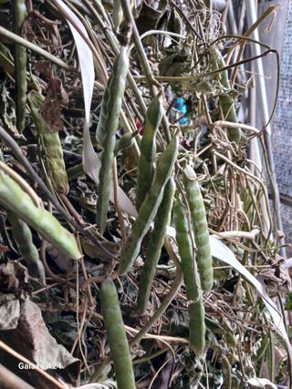 강성흔목사 님의 자유주제 · 자유게시판 작성글 사진