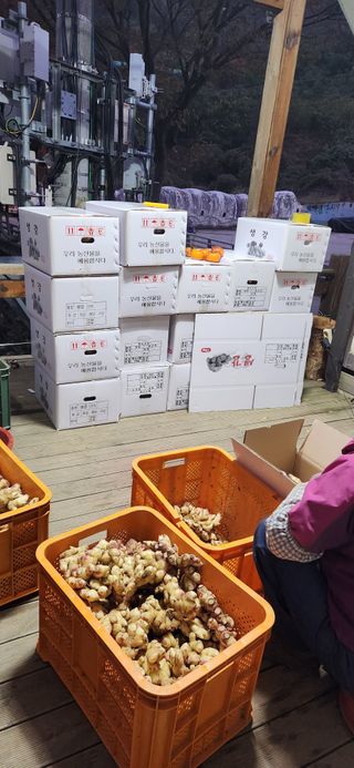 최군환님의 자유주제 · 자유게시판 작성글 사진