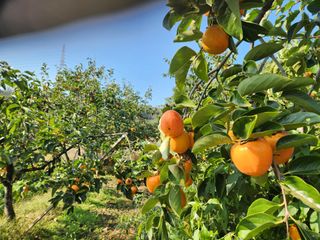 김육환님의 작성글 사진