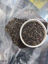 팜모닝 자유주제·자유게시판 게시글 이미지