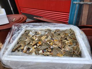 임용관님의 자유주제 · 자유게시판 작성글 사진