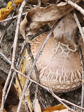 오동균님의 자유주제 · 자유게시판 작성글 사진