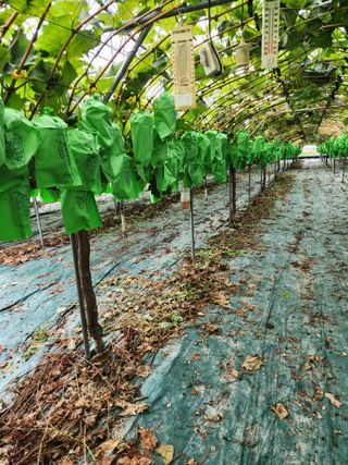 터골농장님의 자유주제 · 자유게시판 작성글 사진