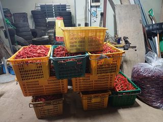 홍순오님의 자유주제 · 자유게시판 작성글 사진