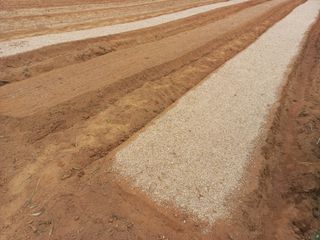 박린님의 자유주제 · 자유게시판 작성글 사진