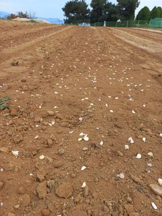 박린님의 자유주제 · 자유게시판 작성글 사진