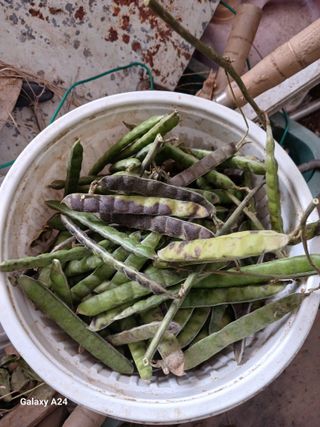 강성흔목사 님의 자유주제 · 자유게시판 작성글 사진