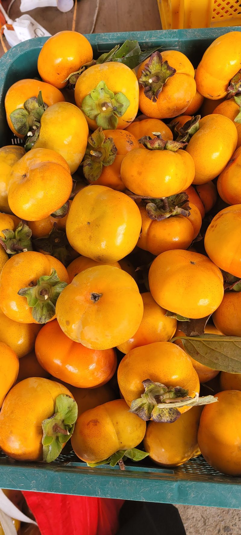 서녕영더기님의 장터 판매 상품 [차량단감. 10키로] 첨부 사진