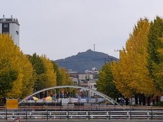 MSG0074님의 자유주제 · 자유게시판 작성글 사진