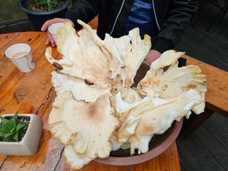 양주박씨농장님의 자유주제 · 자유게시판 작성글 사진