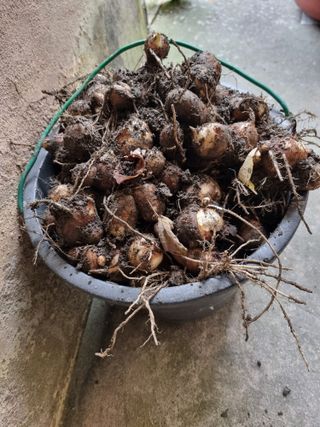 정석범님의 작성글 사진