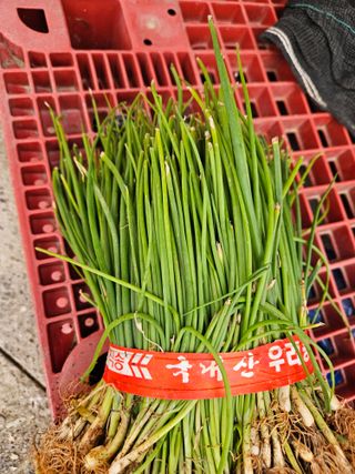 이재관(황토속애)님의 작성글 사진