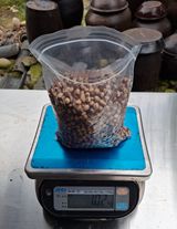 팜모닝 · 게시글 이미지