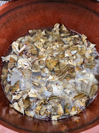 임용관님의 자유주제 · 자유게시판 작성글 사진