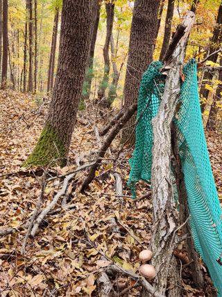 오동균님의 자유주제 · 자유게시판 작성글 사진