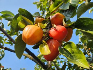 김육환님의 작성글 사진