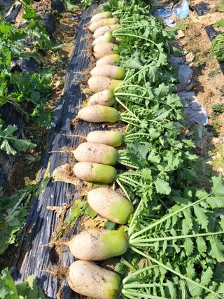 MSG0074님의 자유주제 · 자유게시판 작성글 사진