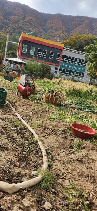 최군환님의 자유주제 · 자유게시판 작성글 사진