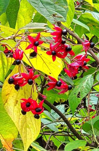 안길원님의 자유주제 · 자유게시판 작성글 사진