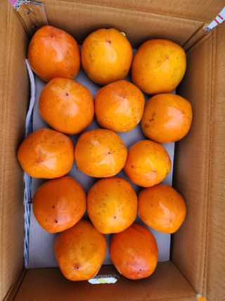 김육환님의 작성글 사진