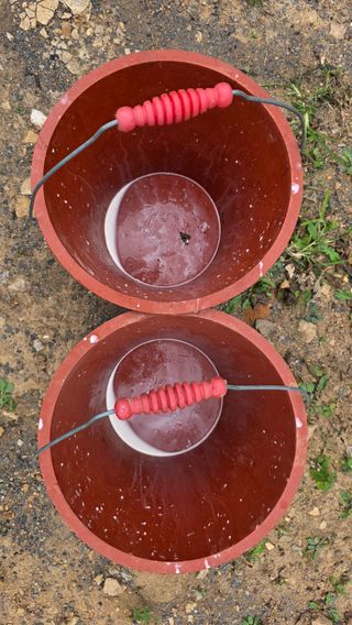 _고성농장님의 자유주제 · 자유게시판 작성글 사진